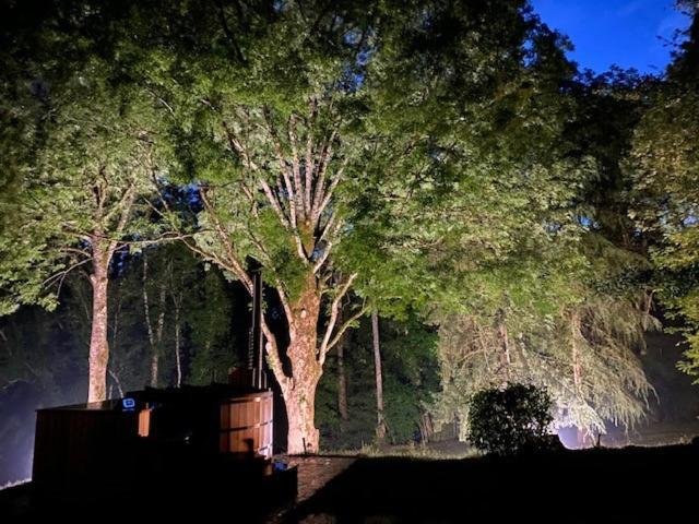 Le Tilleul De Bressolles Brassac  ภายนอก รูปภาพ